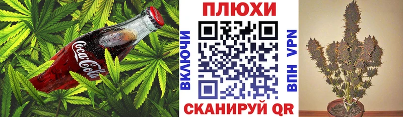 Canna-Cookies марихуана mega сайт Приморск