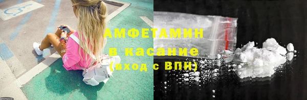 стаф Аркадак