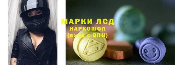 стаф Алексин