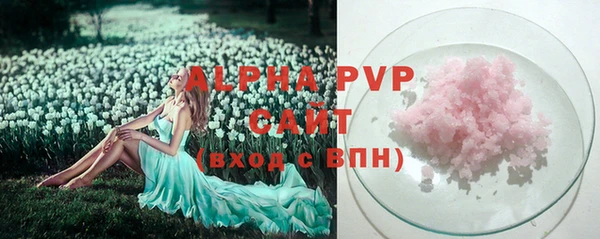 стаф Алексин