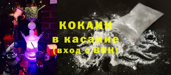 стаф Аркадак