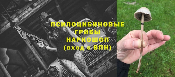стаф Алексин