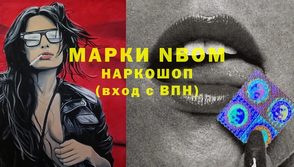 стаф Аркадак